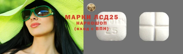 круглые Абаза