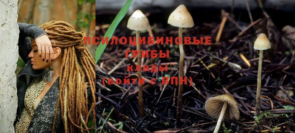 меф Абдулино