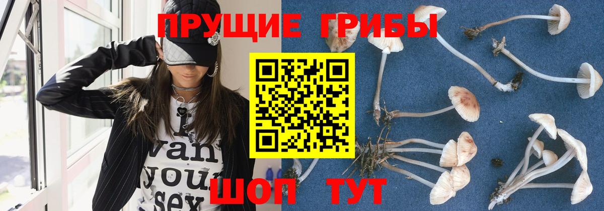 Искитим  Галлюциногенные грибы мухоморы  Вход с VPN 